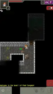 Moonshine Pixel Dungeon captura 6