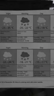 Metel captura 6