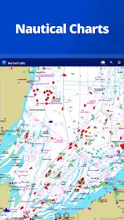 MarineTraffic captura 5