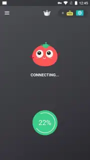 VPN Tomato captura 1