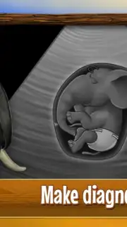 Animal Hospital captura 3