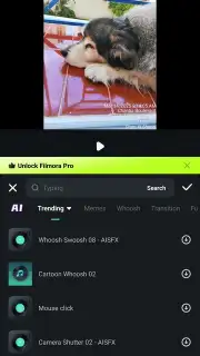 Filmora captura 17