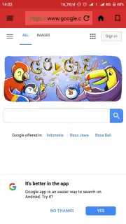 X Web Browser captura 2