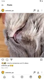 Honista captura 9