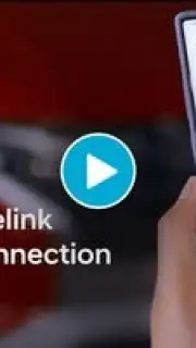 Bluelink captura 1