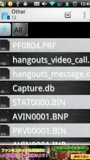 Data Folder captura 3
