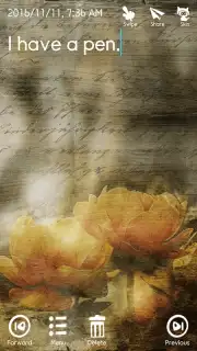 Secret Notes captura 7