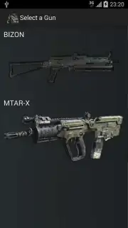 Gun Camera captura 12