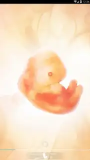 Pregnancy + captura 8