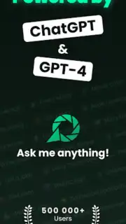 Chatbot captura 6