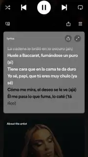Spotify captura 14