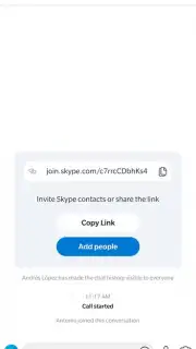Skype captura 8
