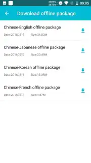Youdao Translate captura 5