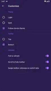 Tor Browser captura 3