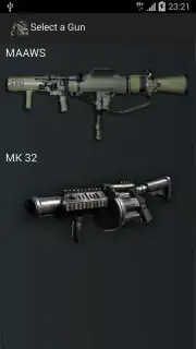 Gun Camera captura 14