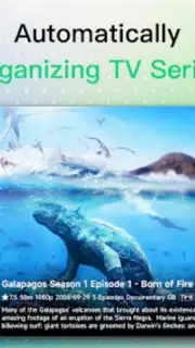 VidHub captura 10