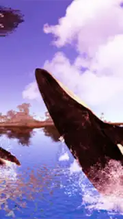 The Humpback Whales captura 10