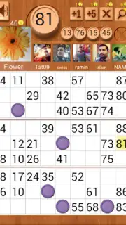 Loto Online captura 2
