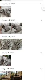 Google Photos captura 8