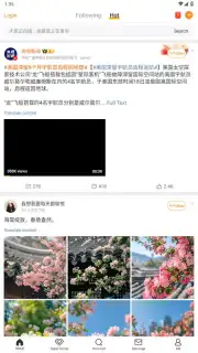 Weibo captura 1