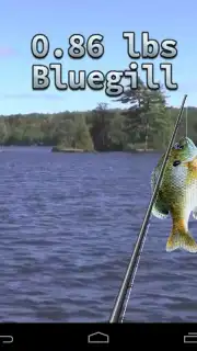 i Fishing 3 Lite captura 5