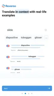 Reverso Translation Dictionary captura 23