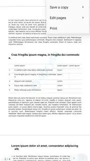 Progromatic DOCS Reader captura 3