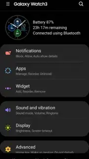 Galaxy Wearable (Samsung Gear) captura 3