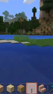 Minicraft captura 9