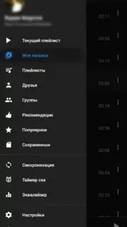 BiRD - Музыка из ВК captura 2