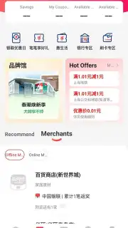 UnionPay captura 5