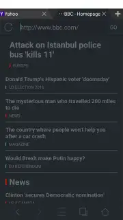 Web Browser captura 6