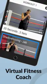 Ultimate MMA Fighting Program captura 3