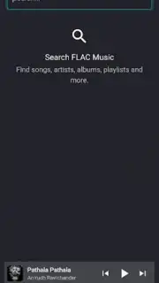 FLAC Music captura 1