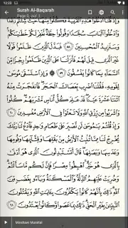 Quran Android captura 4