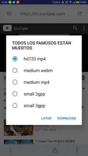 TubeSaver-Free YouTube video downloader captura 5