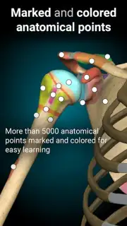 3D Anatomy Learning captura 7