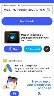 Terabox Downloader captura 4