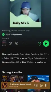 Spotify captura 31