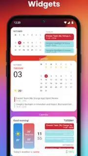 iOS Widgets captura 3