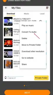 Video Downloader & Video Saver captura 7