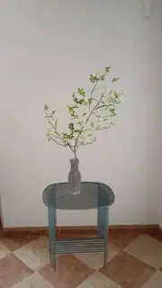 Homestyler captura 3
