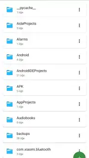 SV File Manager captura 6