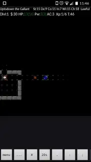 NetHack captura 9