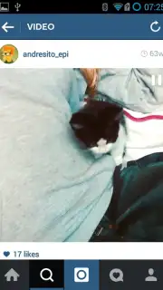 OGInsta+ captura 1
