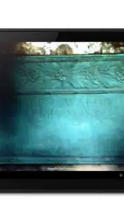 BillionGraves captura 11