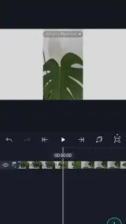 Alight Motion captura 7