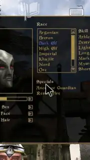 OpenMW captura 4