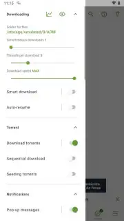 Advanced Download Manager captura 10