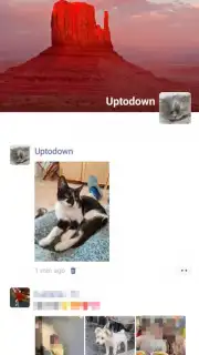WeChat captura 17